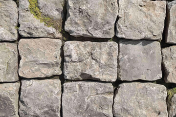 Textured cobblestone square, aged gray stones with visible cracks and mossy edges, historic and tactile