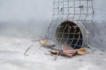 An open water pipe covered with wire and dry leaves almost covering the hole