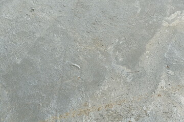 The background texture of the cement floor is gray