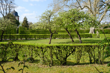 Mespilus germanica Mispel in einem Schlo&szlig;park