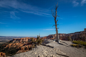 Stunning landscape view of Bryce Canyon