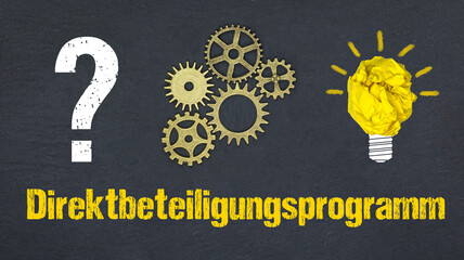 Direktbeteiligungsprogramm	
