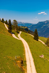 Alpine summer view at Mount Penken, Mayrhofen, Finkenberg, Zillertal valley, Schwaz, Zell am Ziller, Tyrol, Austria