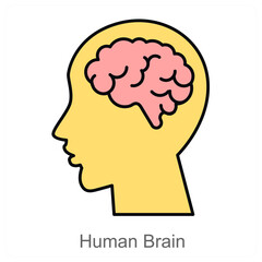 Human Brain