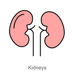 Kidneys