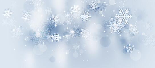 coldl winter snow banner