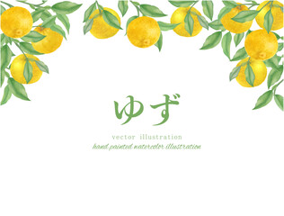 水彩手書きの柚子のイラストのフレーム背景素材