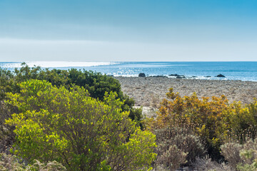 Zapallo Bay Beach: Sea Horizon with Green Bushes in Foreground