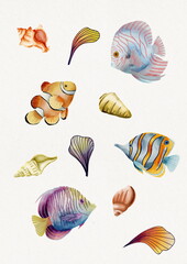 sea pattern, sea, ocean, fish, shells, underwater world, coral reefs, red sea, sea fish, pattern, aesthetics, watercolor, background, background image, texture