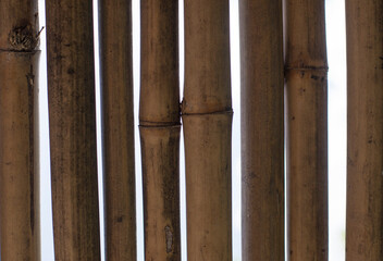 Bamboo fence background, white backdrop