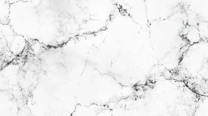 Obraz premium White marble texture with intricate black veining.