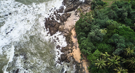Aerial view of the beach with palm trees. Sri-lanka, Matara. High quality photo