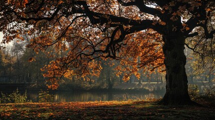Autumn Tree in Hamburg