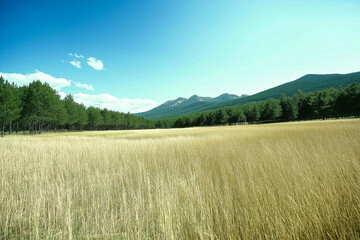 Naklejka premium 大自然