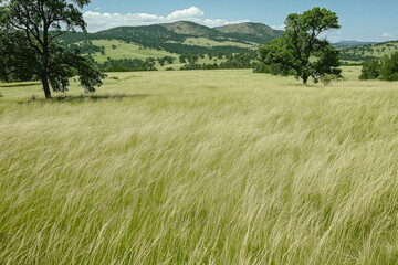 Fototapeta premium 大自然