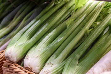 fresh green lettuce stacked on a shelf in the market