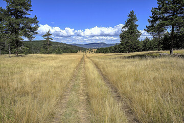 Fototapeta premium 大自然