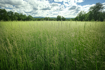 Obraz premium 大自然