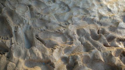 Clay surface with footprints