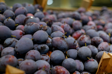 A bountiful display of fresh, ripe plums, showing their deep purple hues and natural bloom. Perfect for fruit, healthy eating, or autumn harvest concepts.