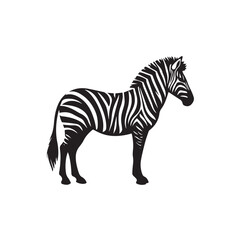 Zebra icon vector symbol design art illustration