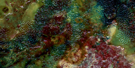 A Seamless Design of Light, Texture, and Water Patterns
