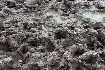 cow tracks in the mud, mud texture, dark mud