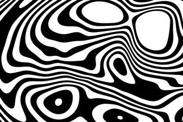 Fototapeta premium Black and white pattern. Black and white curved stripes, fluid wavy lines, artistic waves.