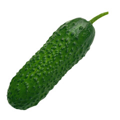 fresh green cucumber isolated from the background