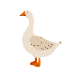 Vector illustration cute goose. Goose in hand drawn style. Farm bird isolated on white background. Domestic animal. 