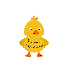 Little yellow duckling. Hand drawn farm animal cartoon design. Adorable baby duck illustration for sticker, clipart, education, Easter.
