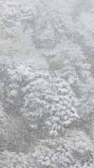 Fototapeta premium heavy snow in winter