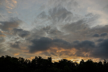 sunset in the mountains. Silhouette of tree and sky background.copy space. 