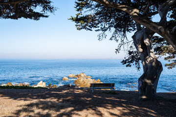 A bench to sit on and watch the ocean in Monterey, California in November