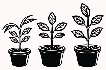 Plant growth phases E.eps