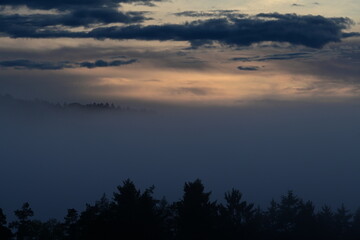 Morgennebel kurz vor Sonnenaufgang in hügeliger Waldlandschaft
