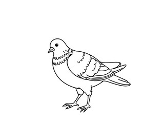 Line Art Illustration of a Rock Dove on White Background. AI Generated