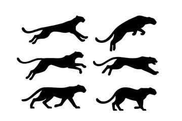 set of cheetah silhouette © Muflif