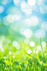 Fototapeta premium A field of green grass with a blue sky in the background. The grass is lush and vibrant, creating a sense of freshness and vitality. The blue sky adds a calming and serene atmosphere to the scene