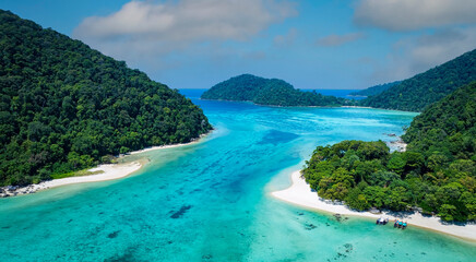 Fototapeta premium Aerail view of green forest and the sea. natural ecosystems of forests and oceans. concept of natural forest conservation