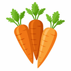 Carrot With Vector