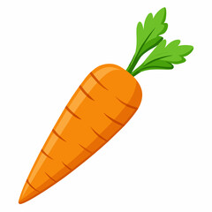 Carrot With Vector
