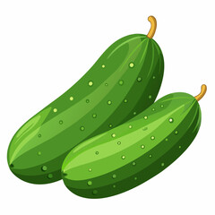 Cucumber With Vector