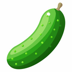 Cucumber With Vector