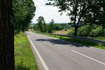 Obraz premium Scenic rural road with lush greenery.