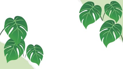 Monstera tropical leaf animation and paper tear effect, customizable background, alpha channel setting