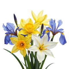 Obraz premium Beautiful bouquets and flowers with transparent and high-quality background