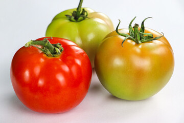 red and yellow tomatoes