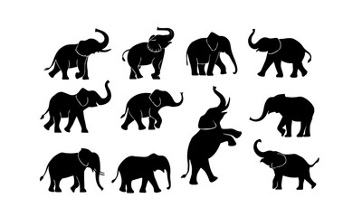 set Elephant Animal Silhouettes
