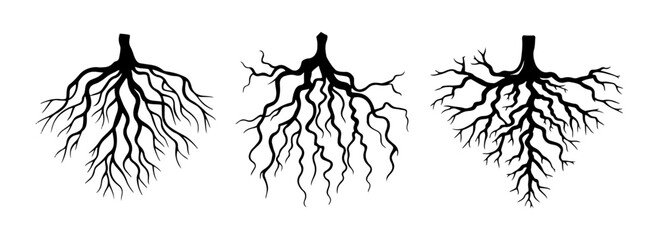 Various tree roots set, Tree root icon set, Tree roots silhouette collection, Tree Roots Vector Silhouette Set, Set of black tree roots silhouettes, Tree root logo collection, tree roots icon design